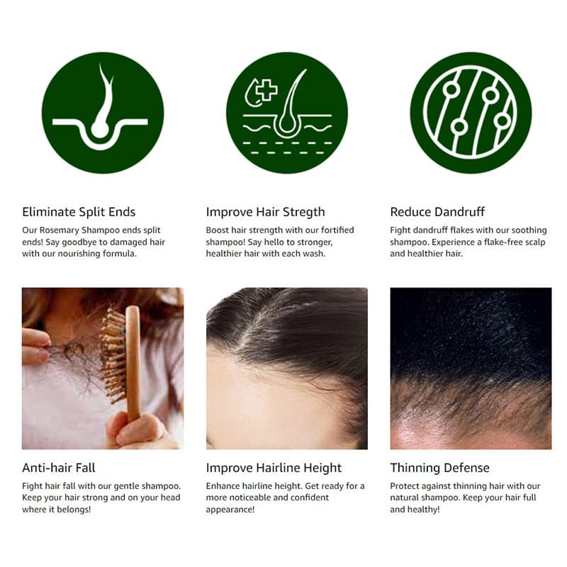 Rosemary Mint Scalp Refresh System