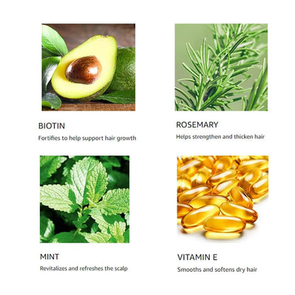 Rosemary Mint Scalp Refresh System